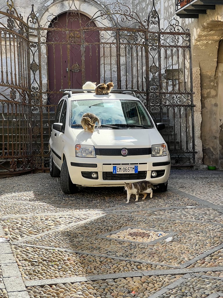 Fiat